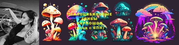 шишки Аркадак